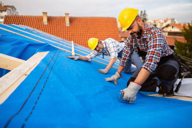 Best Rubber Roofing (EPDM, TPO)  in Geistown, PA
